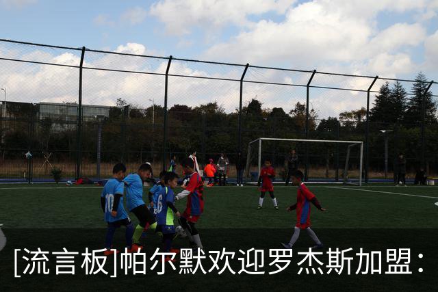 [流言板]帕尔默欢迎罗杰斯加盟：与最好的朋友之一共同为切尔西效力